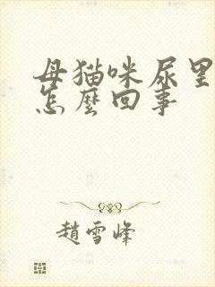 母猫咪尿里有血怎么回事