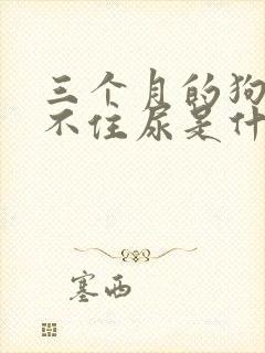 三个月的狗狗憋不住尿是什么原因