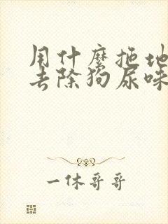 用什么拖地可以去除狗尿味