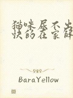 猫咪尿不出来最快的在家解决办法