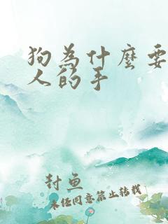 狗为什么要舔主人的手