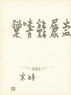 猫咪能尿出来但是有点尿血