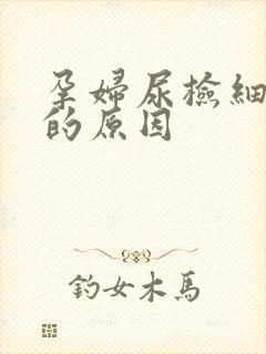 孕妇尿检细菌高的原因