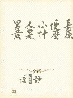 男人小便长期尿黄是什么原因