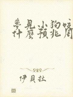 梦见小狗咬自己什么预兆周公解梦