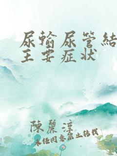 尿输尿管结石的主要症状