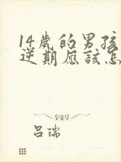 14岁的男孩叛逆期应该怎么办