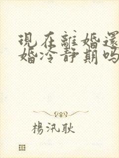 现在离婚还有离婚冷静期吗