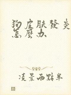 狗皮肤发炎化脓怎么办