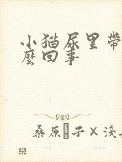 小猫尿里带血怎么回事