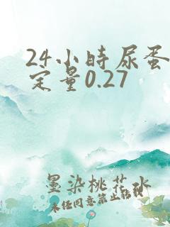 24小时尿蛋白定量0.27