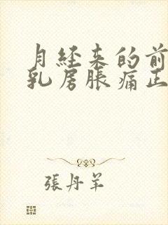 月经来的前几天乳房胀痛正常吗?