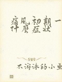 痛风初期一般有什么症状