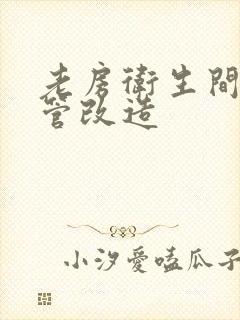 老房卫生间铸铁管改造