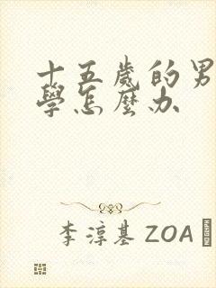 十五岁的男孩厌学怎么办