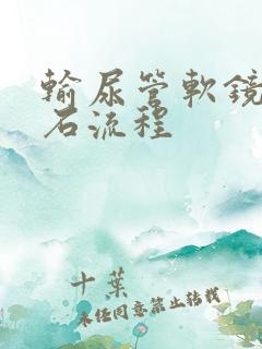 输尿管软镜取结石流程