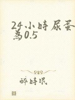 24小时尿蛋白为0.5