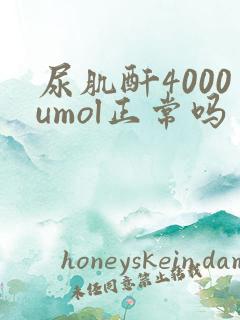 尿肌酐4000umol正常吗