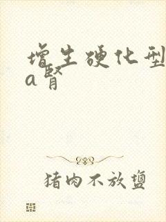 增生硬化型iga肾