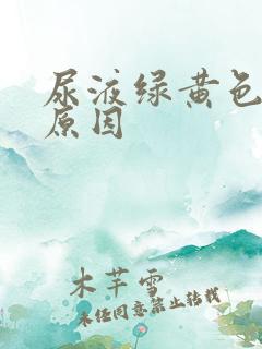 尿液绿黄色什么原因