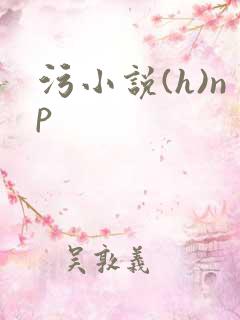 污小说(h)np