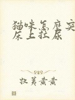 猫咪怎么突然在床上拉尿