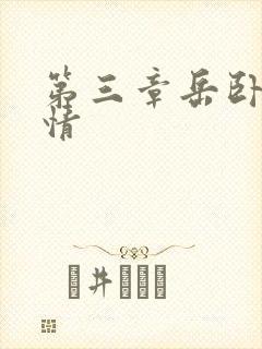 第三章岳卧室激情