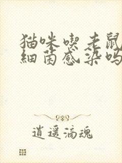 猫咪吃老鼠会有细菌感染吗