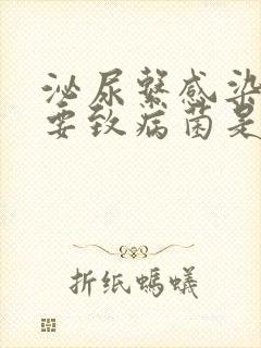 泌尿系感染的主要致病菌是