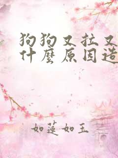 狗狗又拉又吐是什么原因造成