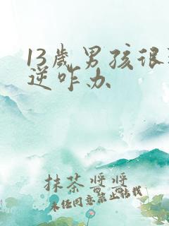 13岁男孩很叛逆咋办