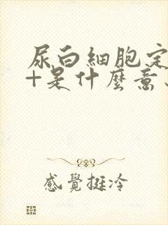 尿白细胞定性3+是什么意思