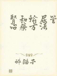 肾和输尿管结石治疗方法