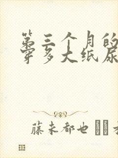 第三个月的宝宝穿多大纸尿裤