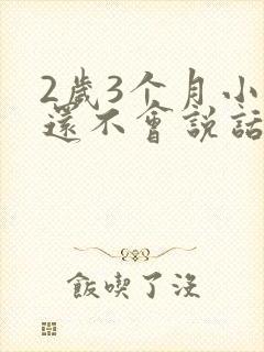 2岁3个月小孩还不会说话