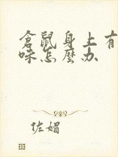 仓鼠身上有尿骚味怎么办