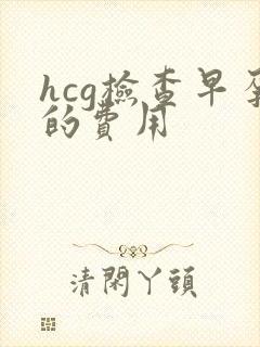 hcg检查早孕的费用