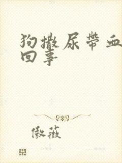 狗撒尿带血怎么回事