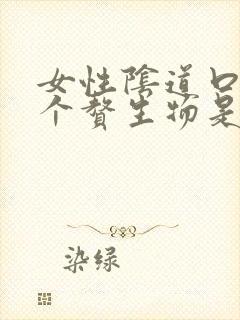 女性阴道口长一个赘生物是怎么回事