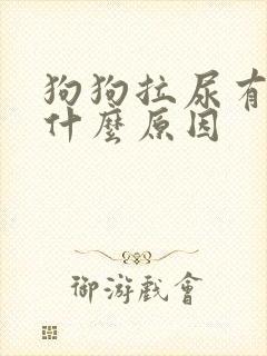 狗狗拉尿有血是什么原因