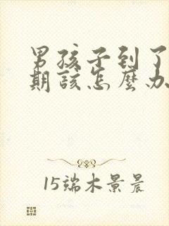 男孩子到了叛逆期该怎么办