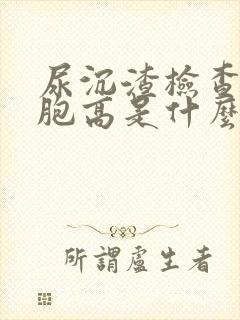 尿沉渣检查白细胞高是什么原因