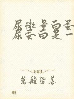 尿微量白蛋白和尿蛋白是一样吗