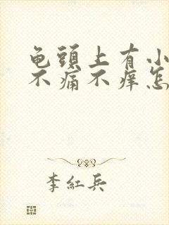 龟头上有小红点不痛不痒怎么回事