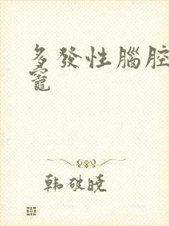 多发性脑腔隙性灶