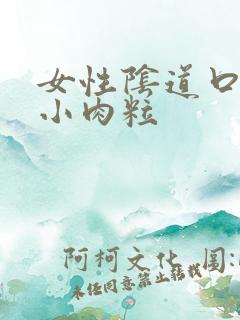 女性阴道口很多小肉粒