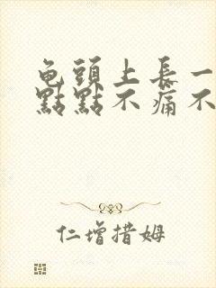 龟头上长一些红点点不痛不痒