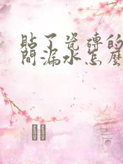 贴了瓷砖的卫生间漏水怎么办