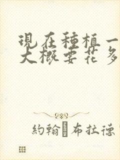 现在种植一颗牙大概要花多少钱