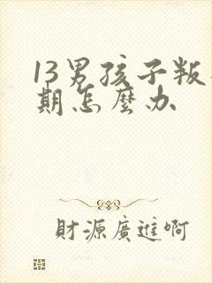 13男孩子叛逆期怎么办